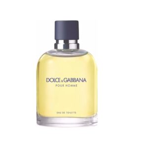 dolce gabbana pour homme